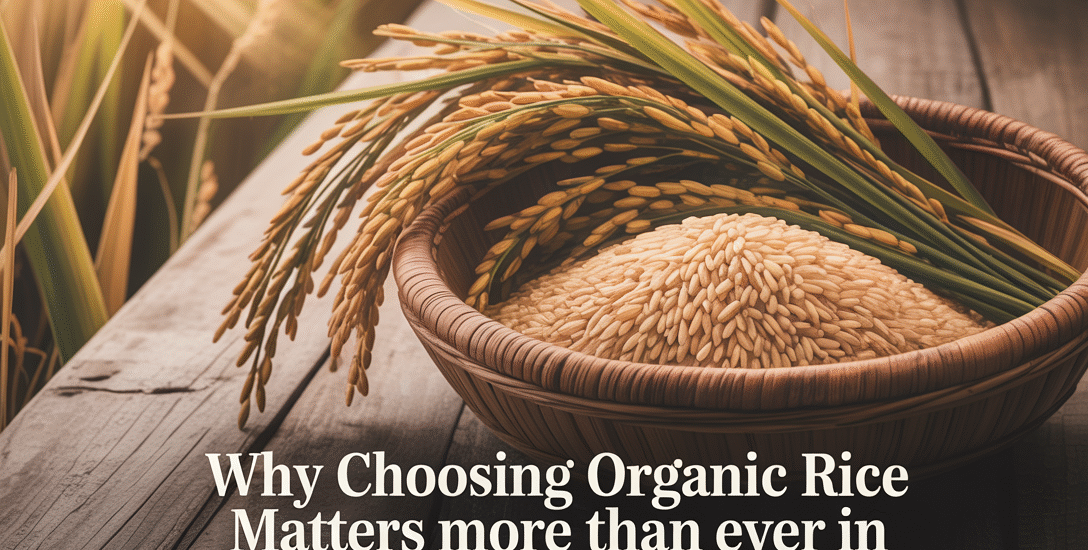 Why Choosing Organic Rice Matters More Than Ever in Tamil Nadu Blog Image
