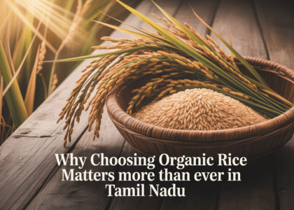 Why Choosing Organic Rice Matters More Than Ever in Tamil Nadu Blog Image